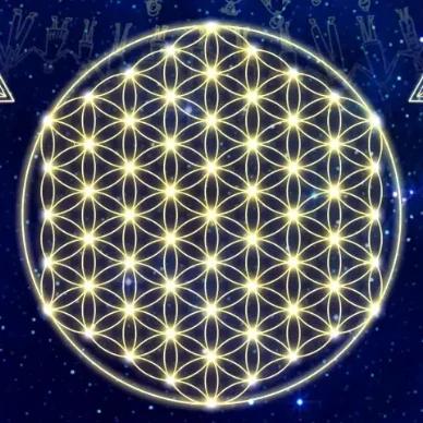 Flor da vida dourada, detalhe do Portal Sistêmico Saphira